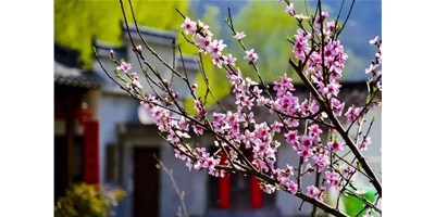 陽春三月，臺(tái)群精機(jī)一大波展會(huì)即將來襲，您準(zhǔn)備好了嗎？