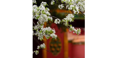 【展會資訊】臺群精機5月展會一覽，等您來參觀！